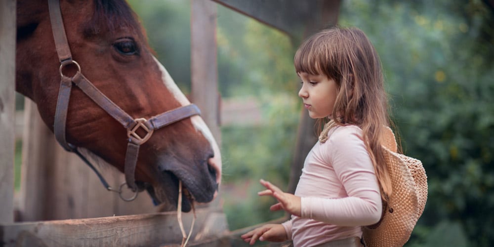 What Is The Most Effective Form Of Communication With Children On The Brain Warriors Way Podcast With Dr Daniel Amen And Tana Amen BSN RN